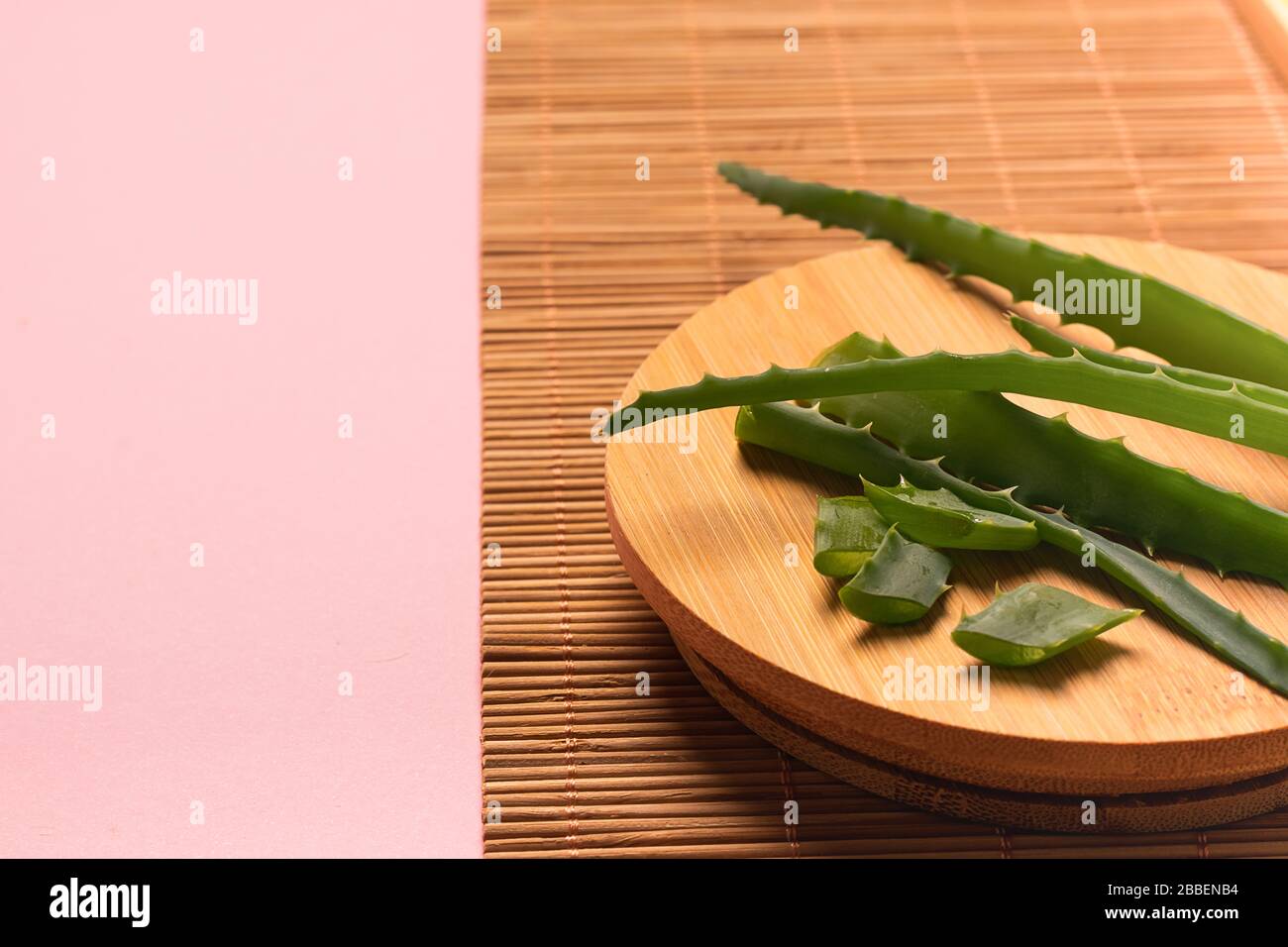 Fox frais juteux cactus d'aloès pour la préparation des cosmétiques faits maison. L'homéopathie du pharmacien à la maison moderne. Cadre horizontal Banque D'Images