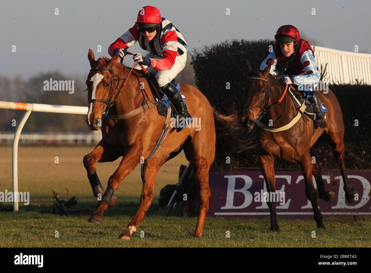 Vainqueur de la course le Polomoche monté par M. Sam Painting (R) chases Down point éprouvé monté par M. T Ellis pendant le PointToPoint.co.uk Hunters Chase Banque D'Images