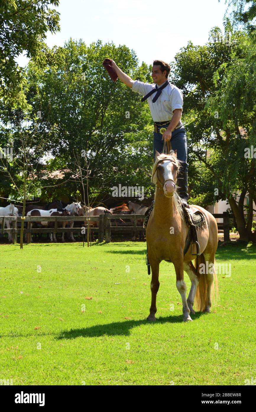 Estancia El Ombu de Areco, Argentine- février 2019: (Jeune) gaucho montre sa vie et son travail sur une ferme typiquement Argentine qui monte son cheval préféré Banque D'Images