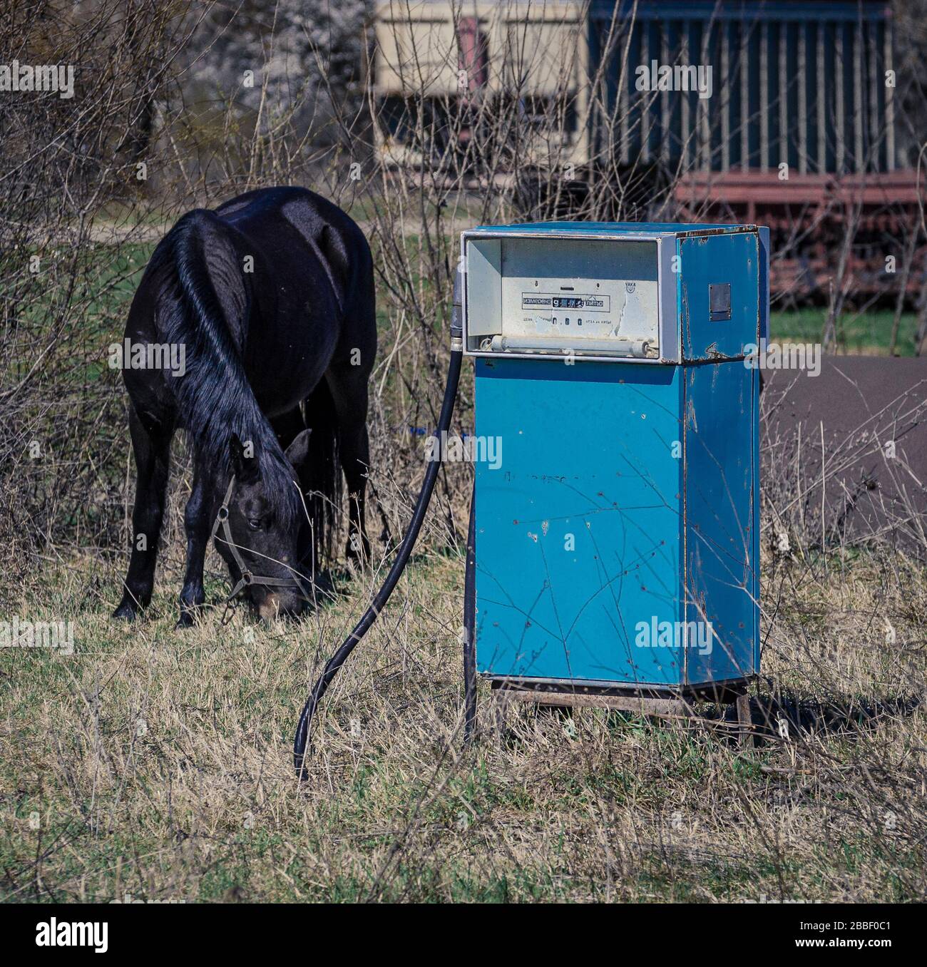 Ancienne pompe à essence bleue d'europe de l'est désutilisée dans les champs agricoles avec un cheval de pâturage Bulgarie Banque D'Images