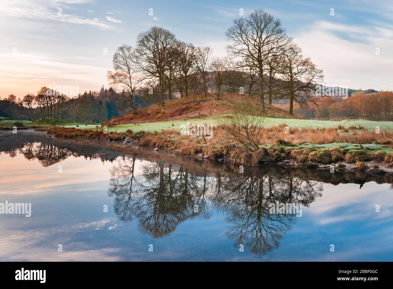 Paysage de bois et de coquillages au bord de l'eau d'Elter un petit lac / tarn près d'Elterwater à Great Langdale dans le district de lac anglais, Cumbria Banque D'Images