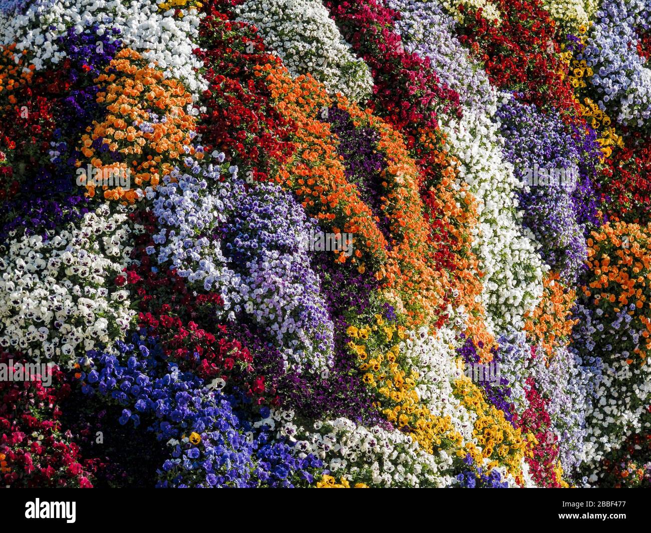 décoration de fleurs dans la ville de bilbao Banque D'Images