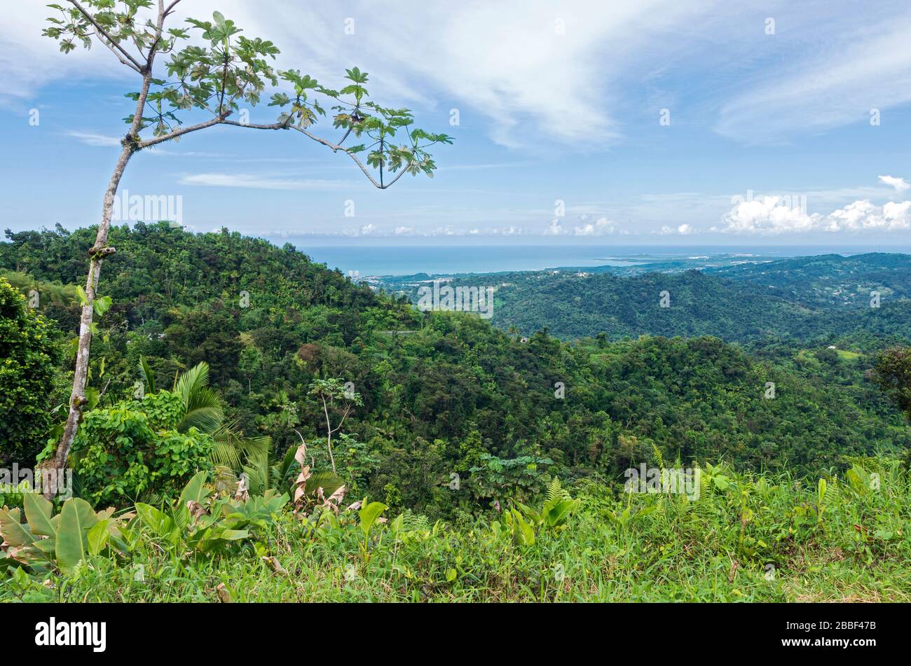vue sur la côte atlantique depuis la forêt tropicale d'el yunque et les montagnes de luquillo à porto rico Banque D'Images