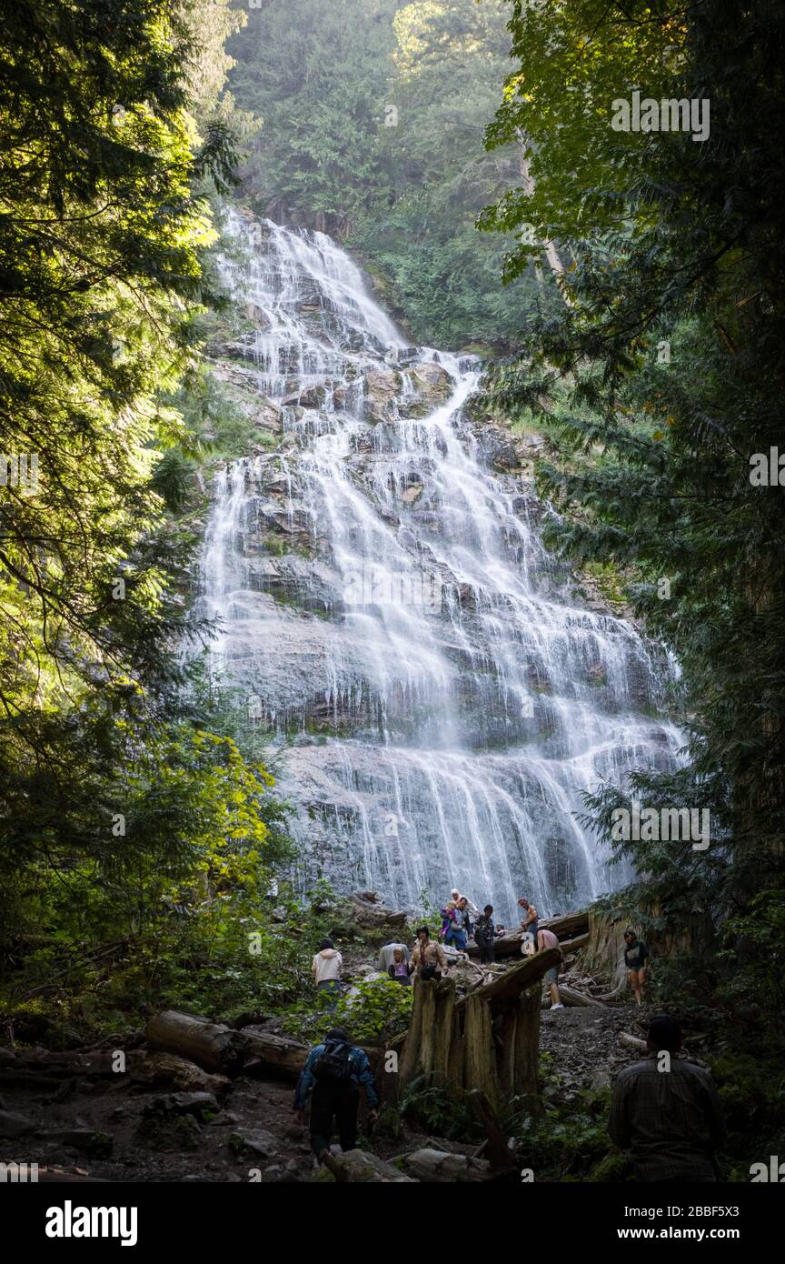 La chute d'eau des forêts cachées en Colombie-Britannique, Canada Banque D'Images