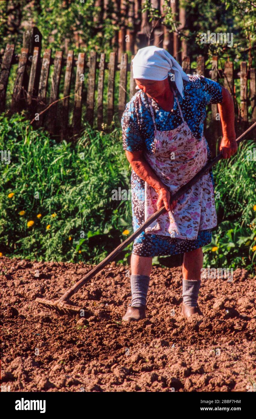 Femme travaillant sur un terrain derrière sa maison dans la ville de Sergiyev Posad, officiellement Zagorsk, à 70 km de Moscou, mai 1990. Banque D'Images