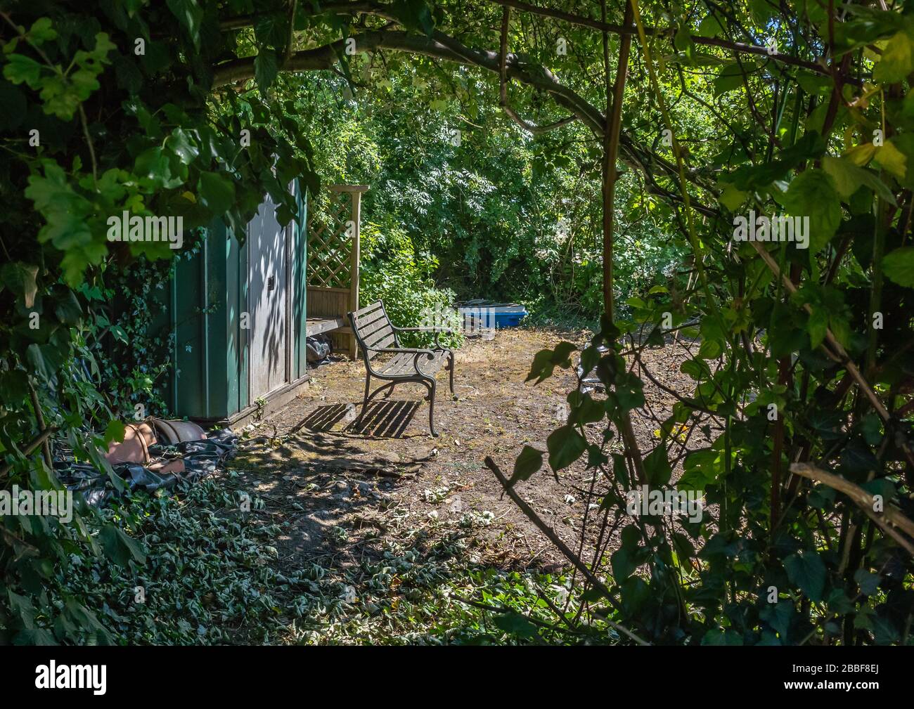 Un jardin vide, vu par les arbres encadrant le sujet. Banque D'Images