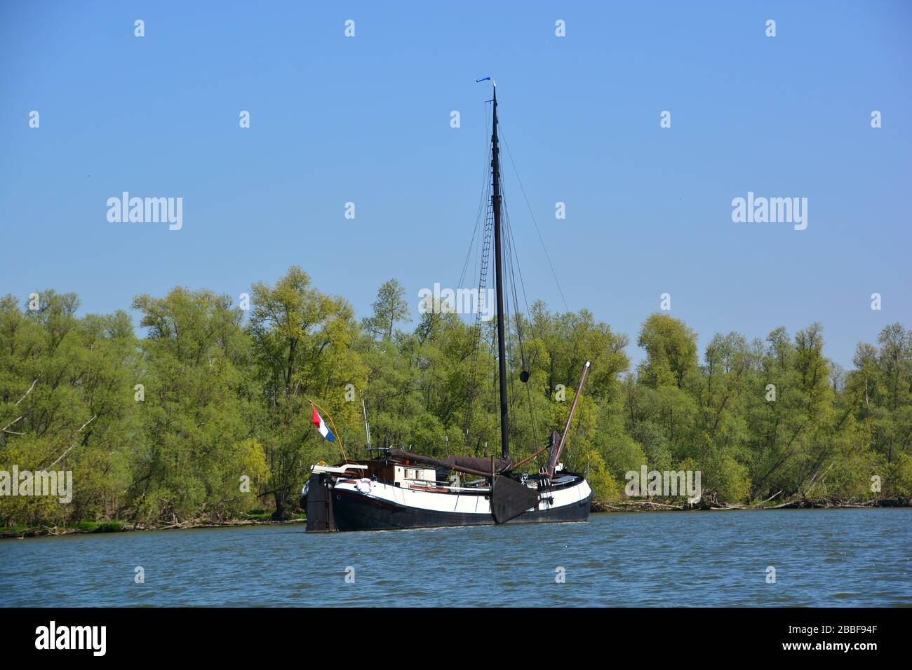 Vue sur le bateau à fond plat traditionnel amarré dans le parc national de Biesbosch; l'une des dernières zones étendues de zones humides marécageuses d'eau douce dans le nord-ouest de l'UE Banque D'Images