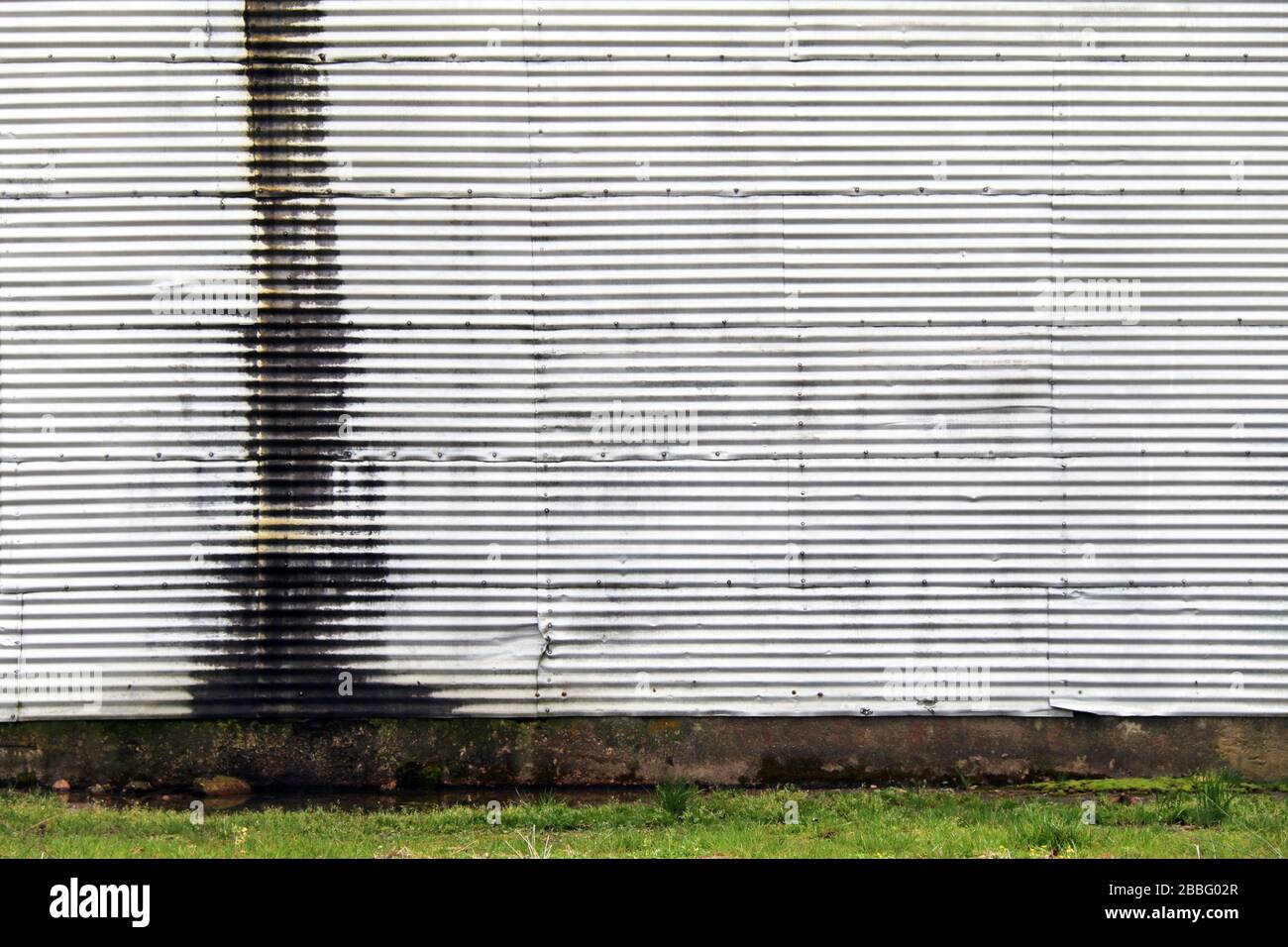 un mur de métal ondulé blanc avec rouille et herbe Banque D'Images