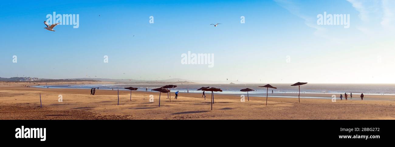 Vue sur la plage de sable, Essaouira, Maroc. Espace de copie pour le texte Banque D'Images