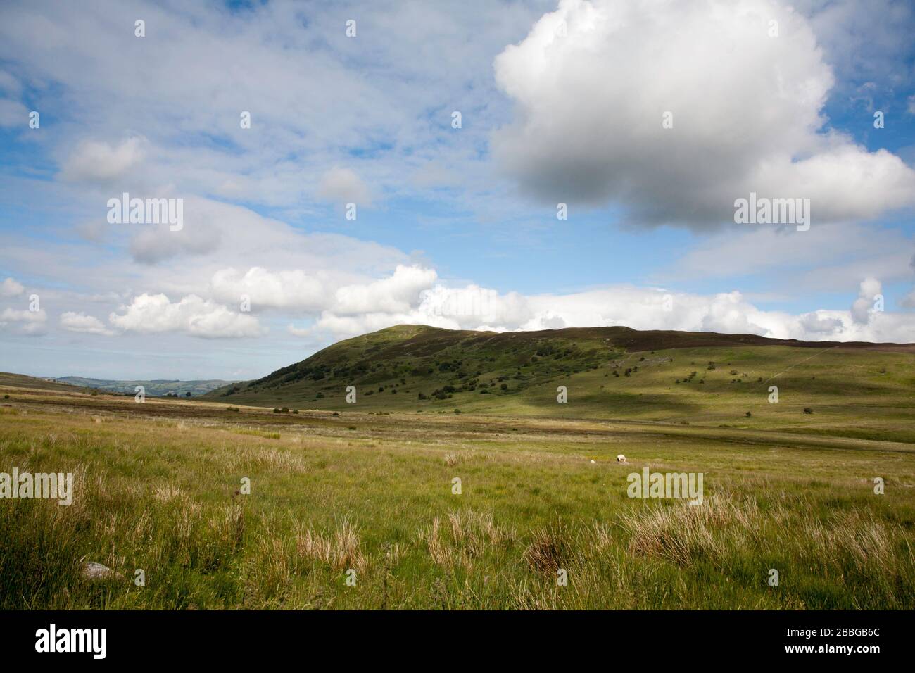 Moel Eilio depuis le chemin menant au réservoir de Llyn Eigiau Sous Carnedd Llewelyn, au-dessus de Conwy Valley Snowdonia, au nord du pays de Galles Banque D'Images