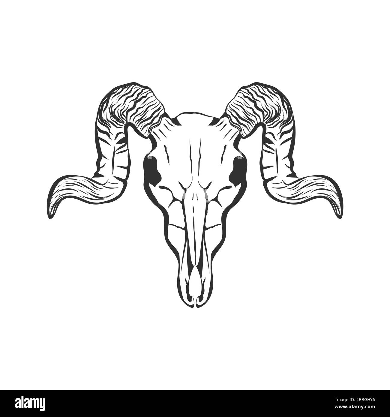 Crâne d'animal avec des cornes isolées sur fond blanc. Motif tatouage au crâne. Illustration de Vecteur