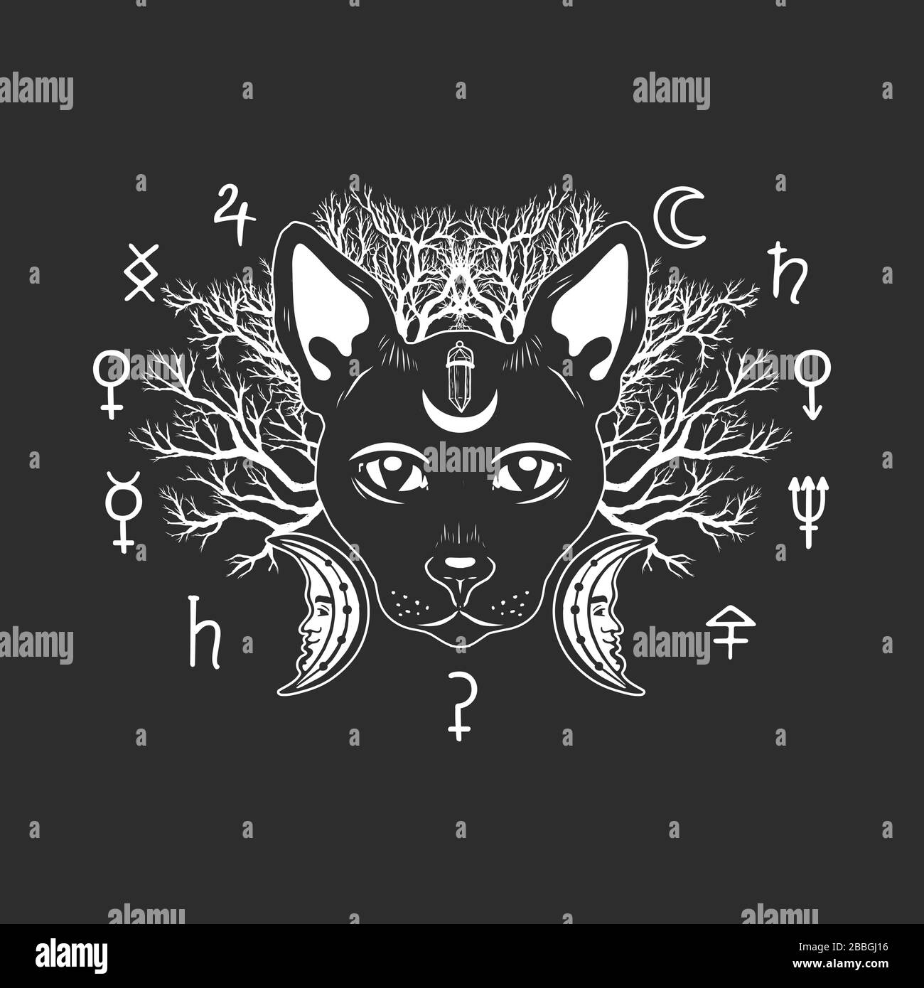 Visage de chat magique décoré de branches mortes et de symboles occultes. Illustration de Vecteur