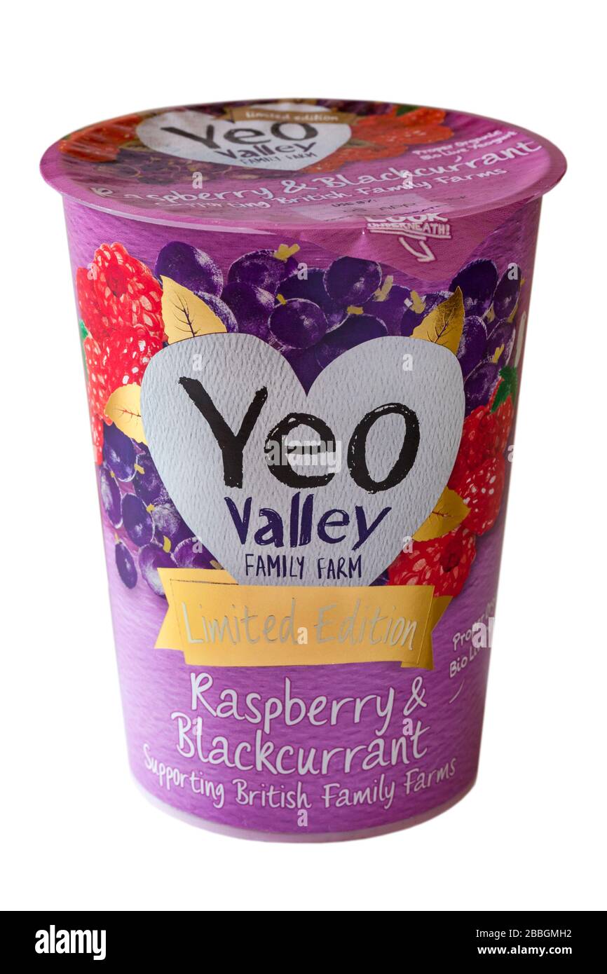 Cuve de Yeo Valley Family Farm Raspberry & Blackcurrant bio propre Live Yeogurt yaourt - soutenir les fermes familiales britanniques isolées sur blanc Banque D'Images