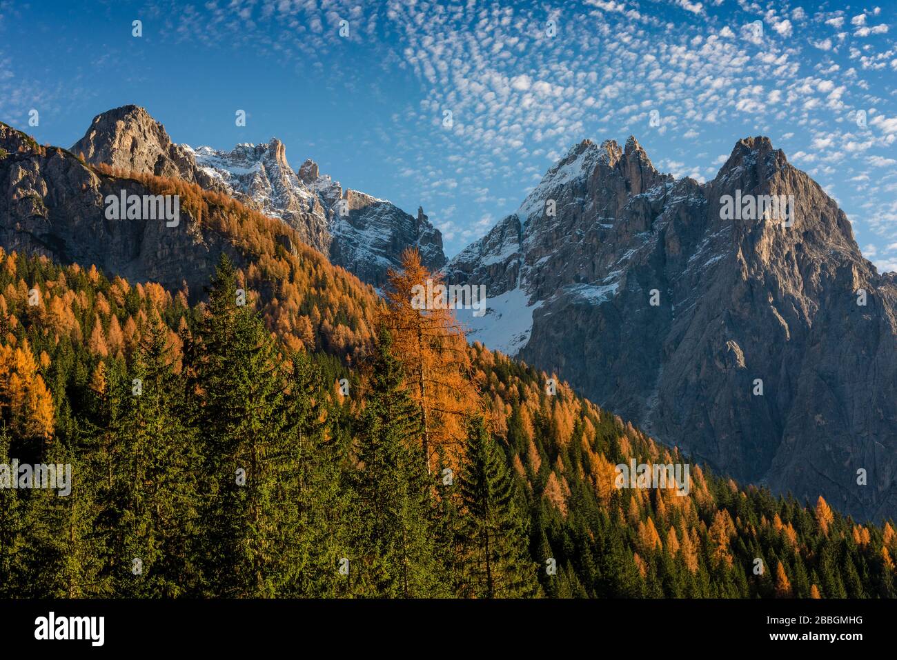 Vallée de Fiscalina en automne, Fischleintal, Sesto Dolomites groupe, Trentin-Haut-Adige, Pusterntal, Tyrol du Sud, Italie Banque D'Images