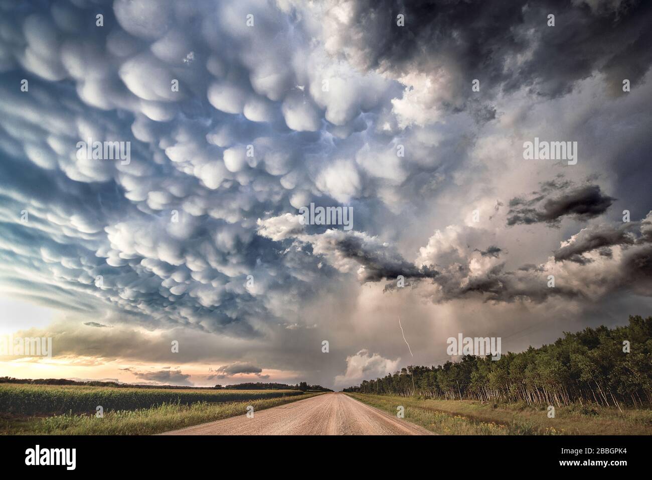 Gorgeoud nuages profonds de mammatus au-dessus de la route de gravier dans les régions rurales du sud du Manitoba Canada sur une tornade a prévenu super cellule Banque D'Images