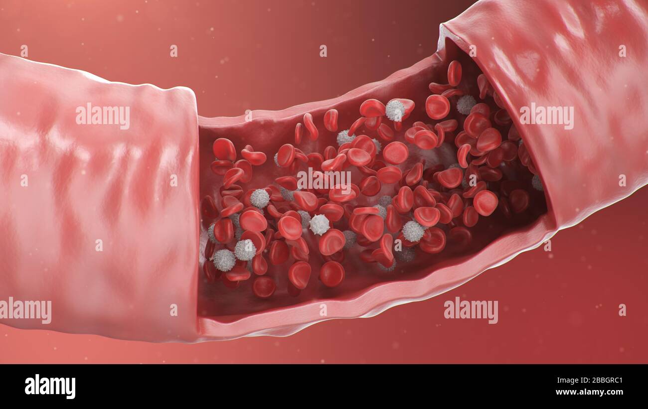 illustration tridimensionnelle des globules rouges à l'intérieur d'une artère, d'une veine. Flux sanguin artériel de section efficace. Concept microbiologique scientifique et médical Banque D'Images