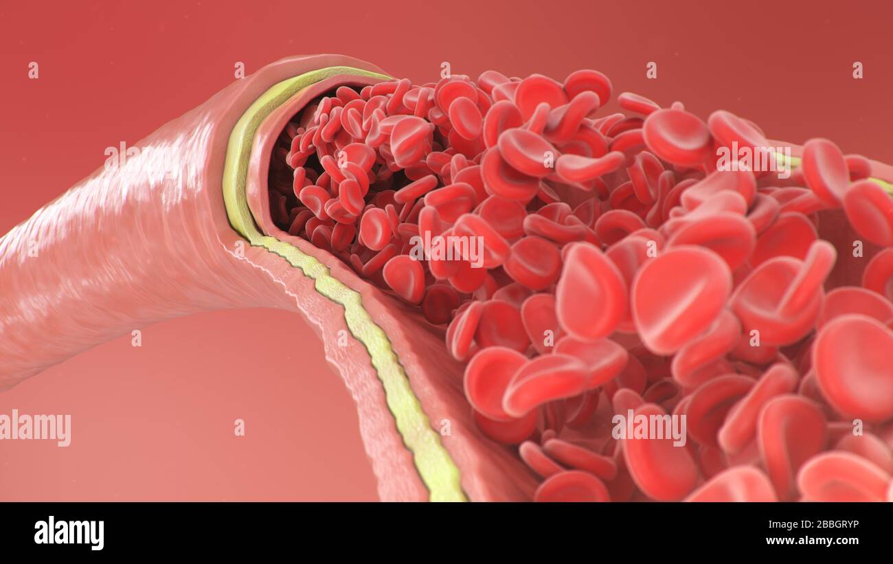 illustration tridimensionnelle des globules rouges à l'intérieur d'une artère, d'une veine. Flux sanguin artériel de section efficace. Concept microbiologique scientifique et médical Banque D'Images
