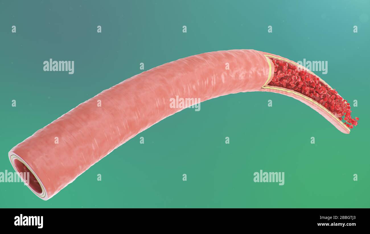 illustration tridimensionnelle des globules rouges à l'intérieur d'une artère, d'une veine. Flux sanguin artériel de section efficace. Concept microbiologique scientifique et médical Banque D'Images