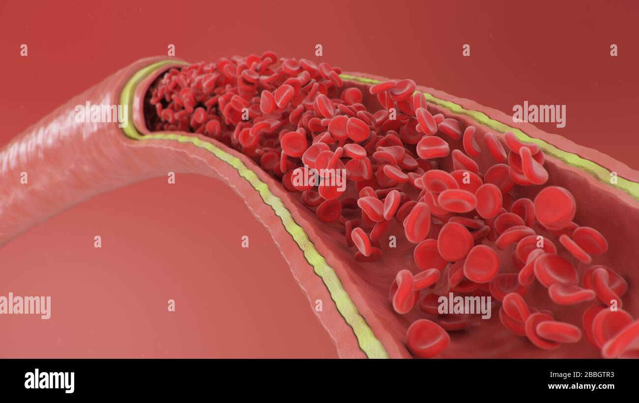 illustration tridimensionnelle des globules rouges à l'intérieur d'une artère, d'une veine. Flux sanguin artériel de section efficace. Concept microbiologique scientifique et médical Banque D'Images