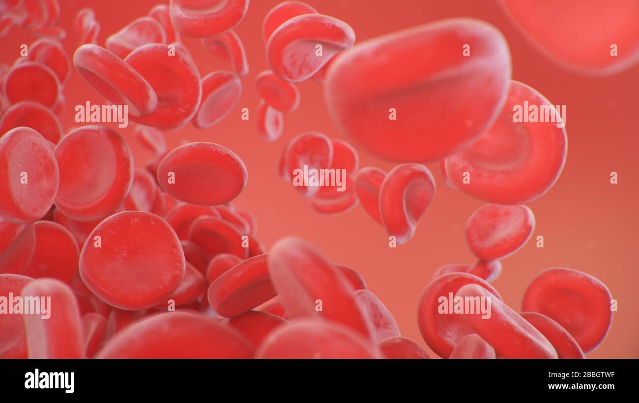 Globules rouges sur fond rouge. Flux sanguin dans un organisme vivant. Concept scientifique et médical. Transfert d'éléments importants dans le sang Banque D'Images