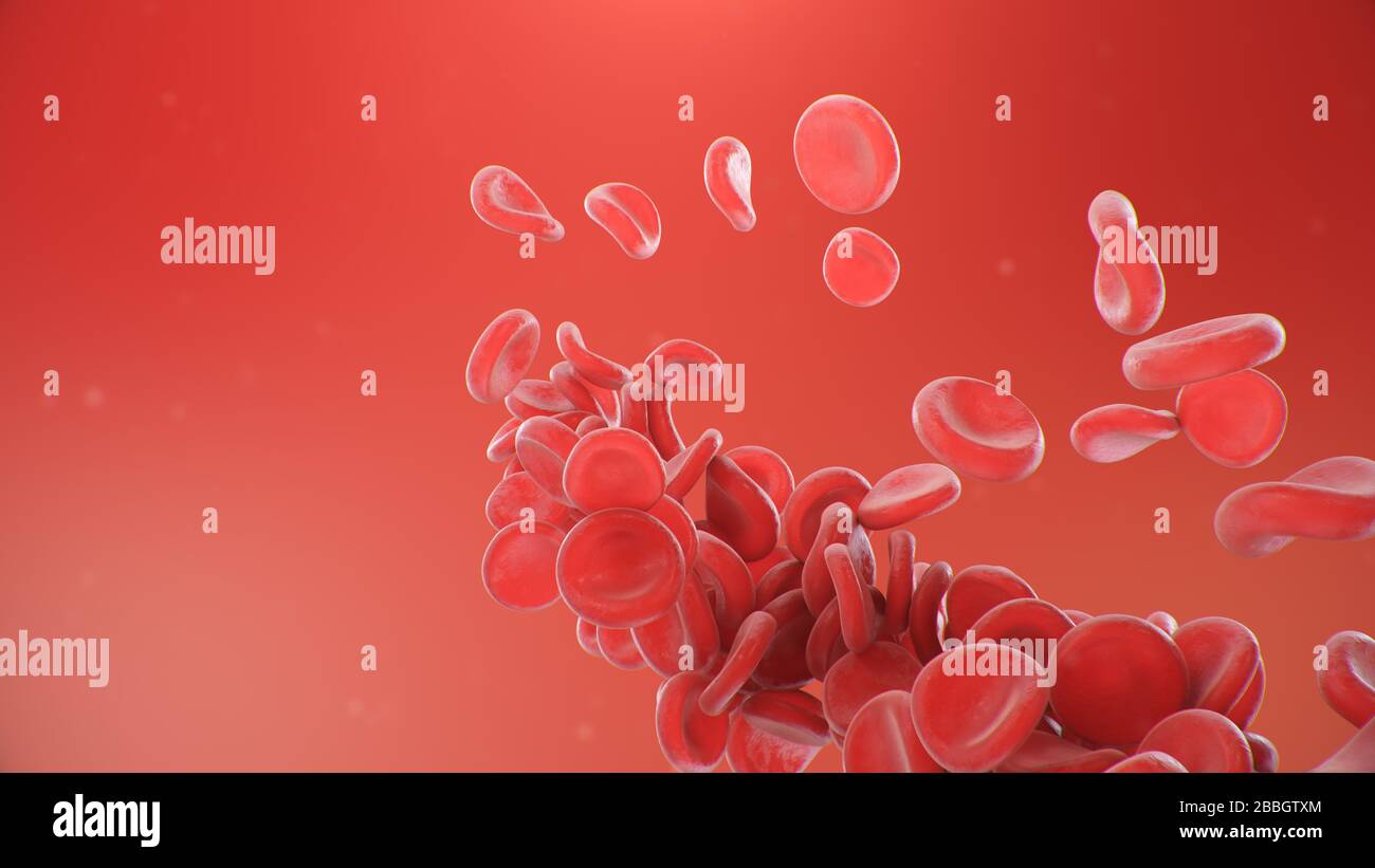 Globules rouges sur fond rouge. Flux sanguin dans un organisme vivant. Concept scientifique et médical. Transfert d'éléments importants dans le sang Banque D'Images