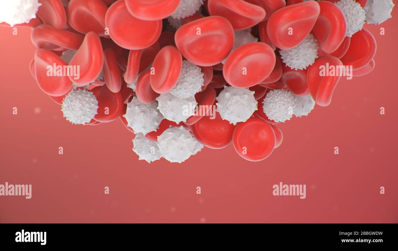Globules rouges avec des globules blancs qui sont immunisés. Concept microbiologique scientifique et médical. Enrichissement avec de l'oxygène et des nutriments. Transfert Banque D'Images