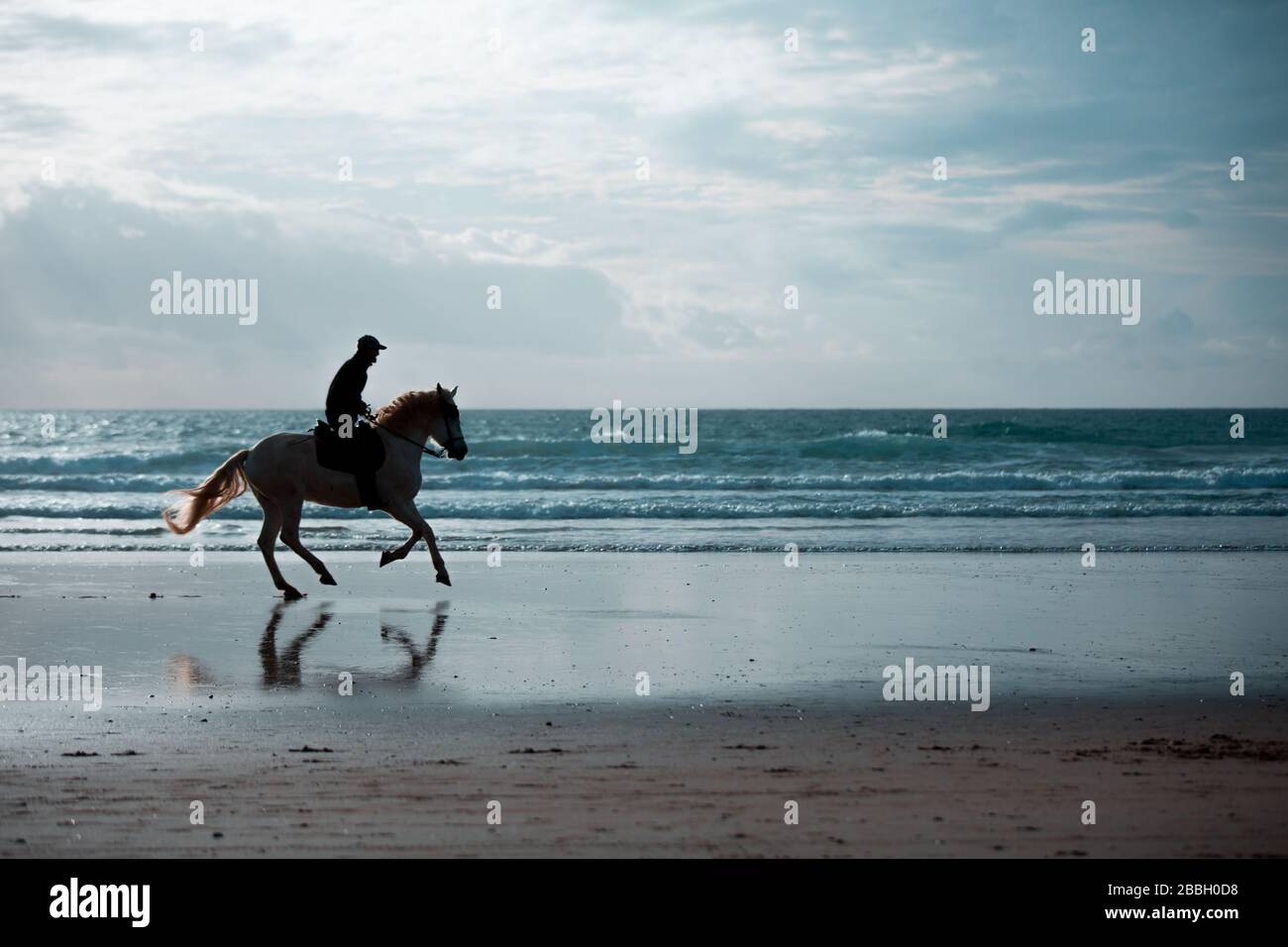 Silhouette d'un homme qui fait du cheval contre la lumière du soleil sur une plage Banque D'Images