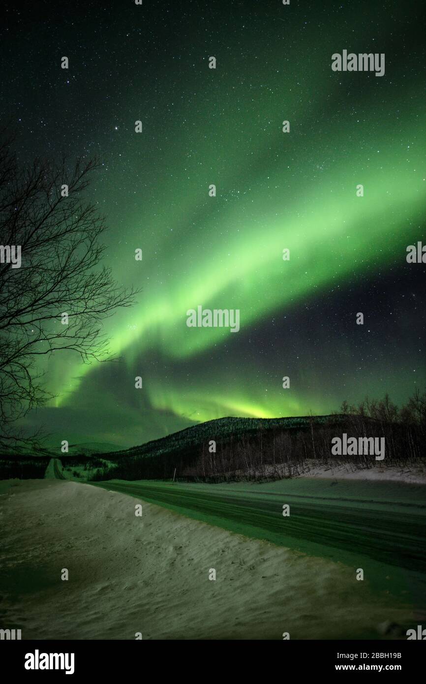 Aurora dansant dans le ciel de Norvège sous le ciel d'hiver sur la route Banque D'Images