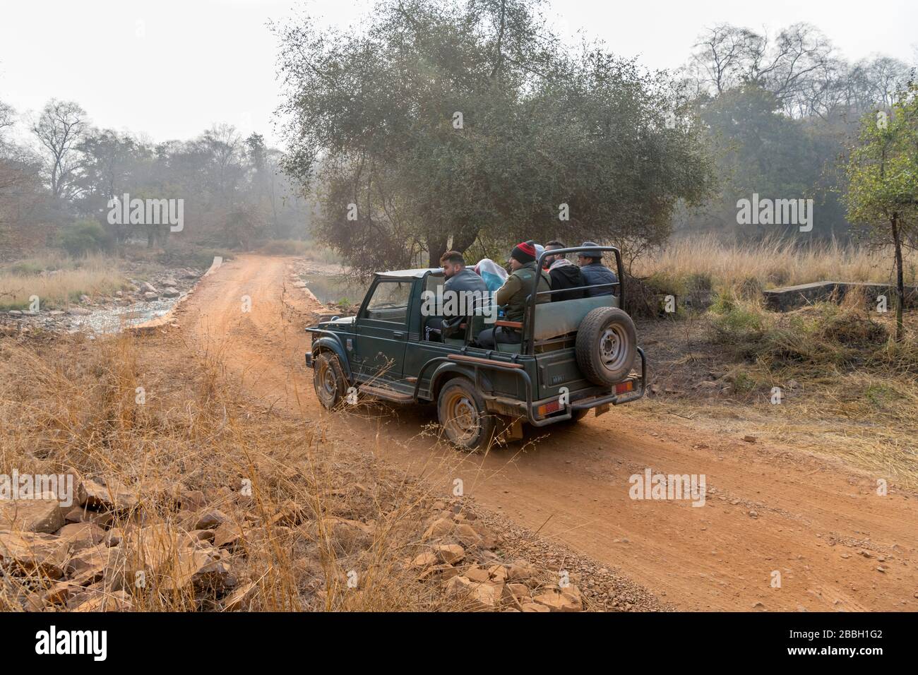 Touristes dans un véhicule de safari tzigane sur un safari tigre dans le parc national de Ranthambore, Rajasthan, Inde Banque D'Images