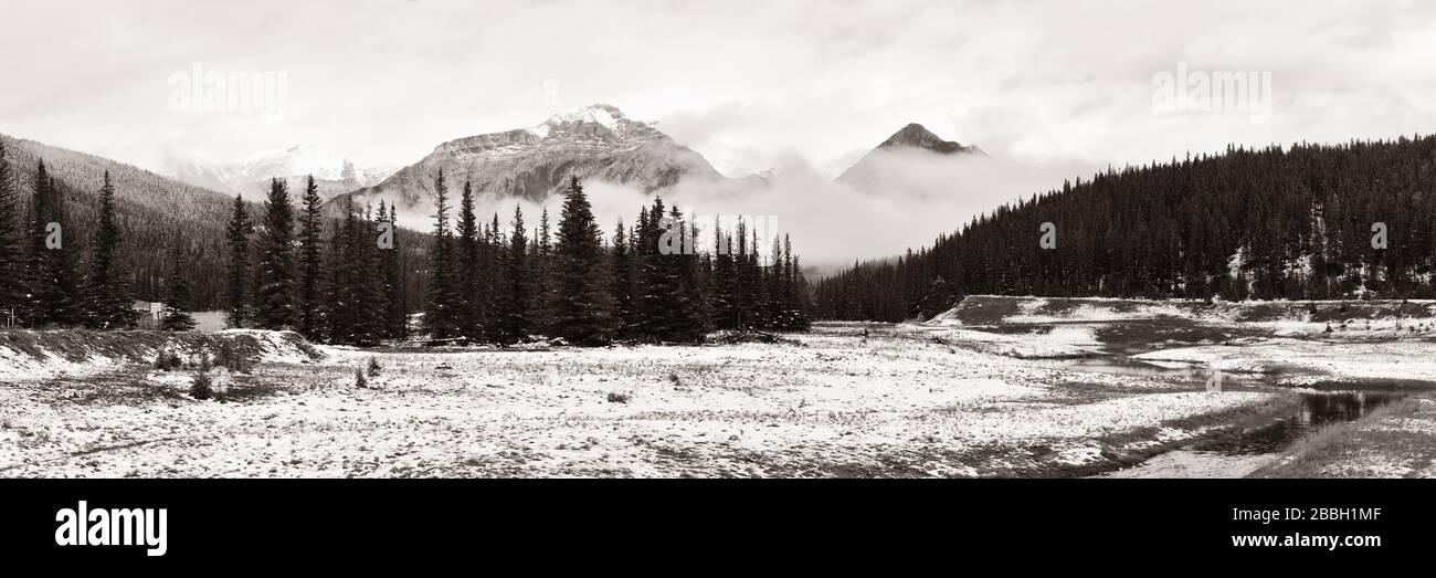 Beau paysage dans le parc national de Banff au Canada Banque D'Images