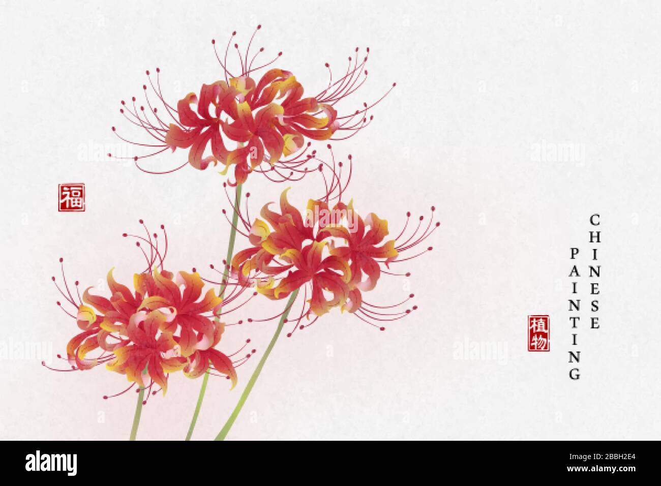 Encre chinoise peinture art fond plante élégante fleur Lycorisradiata. Traduction chinoise : Plant et Blessing. Illustration de Vecteur