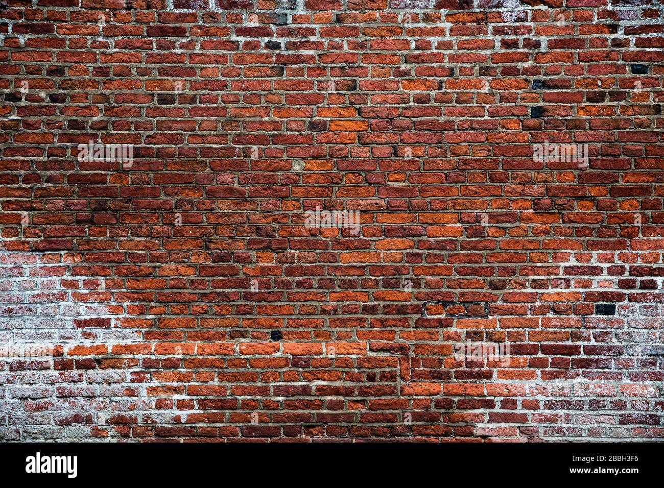 Un fond plein cadre d'un mur de briques rugueux et texturé avec usure visible et tare et espace de copie Banque D'Images