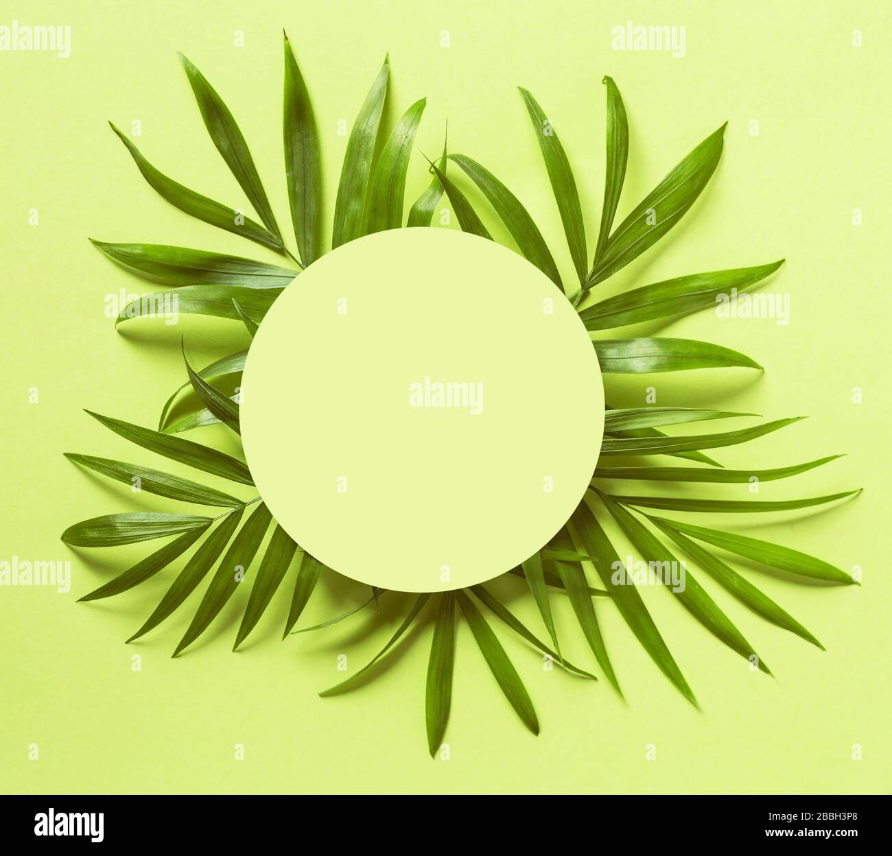 Cercle composé de feuilles de palmier avec un message vide Banque D'Images