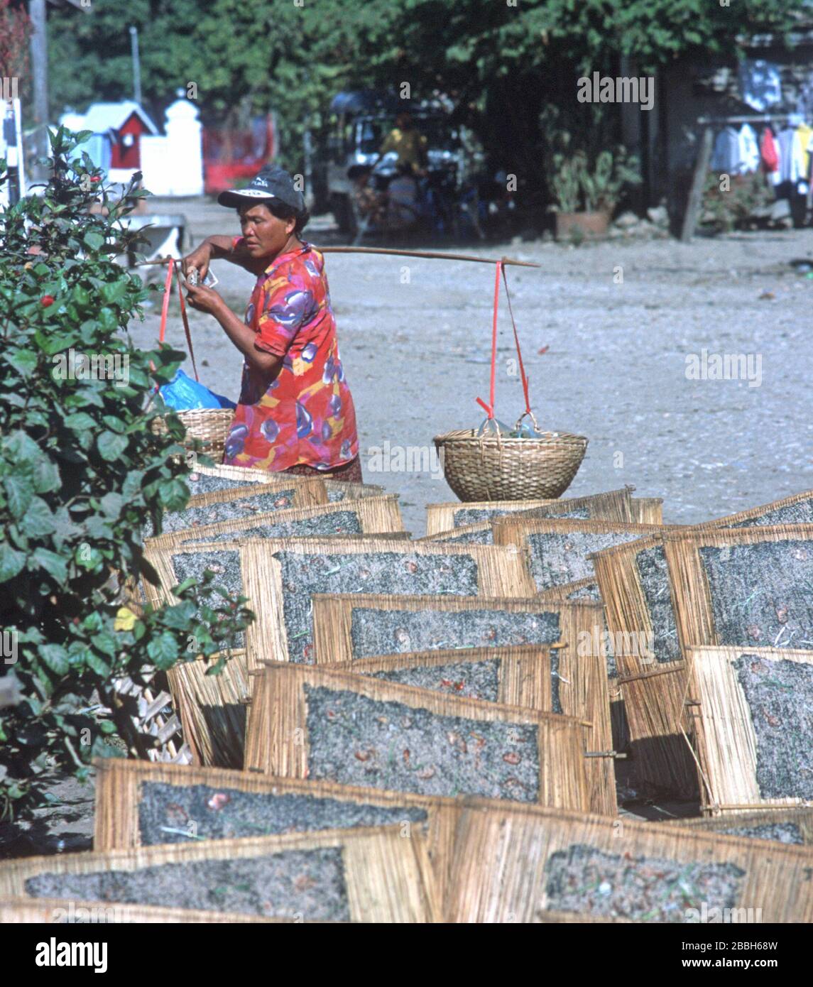 Croustillant de mauvaises herbes du fleuve Mékong séchant sur des cadres de bambou / Rush dans la rue à Luang Prabang, Laos. L'herbe lao ou Kaipen / Kaiphaen / Khai Pene est une collation populaire, récoltée à partir du lit de la rivière. En arrière-plan, un homme transporte de la nourriture dans deux paniers en osier, suspendus aux extrémités d'un poteau de bambou reposant sur son épaule. La ville de Luang Prabang est classée au patrimoine mondial de l'UNESCO. Banque D'Images