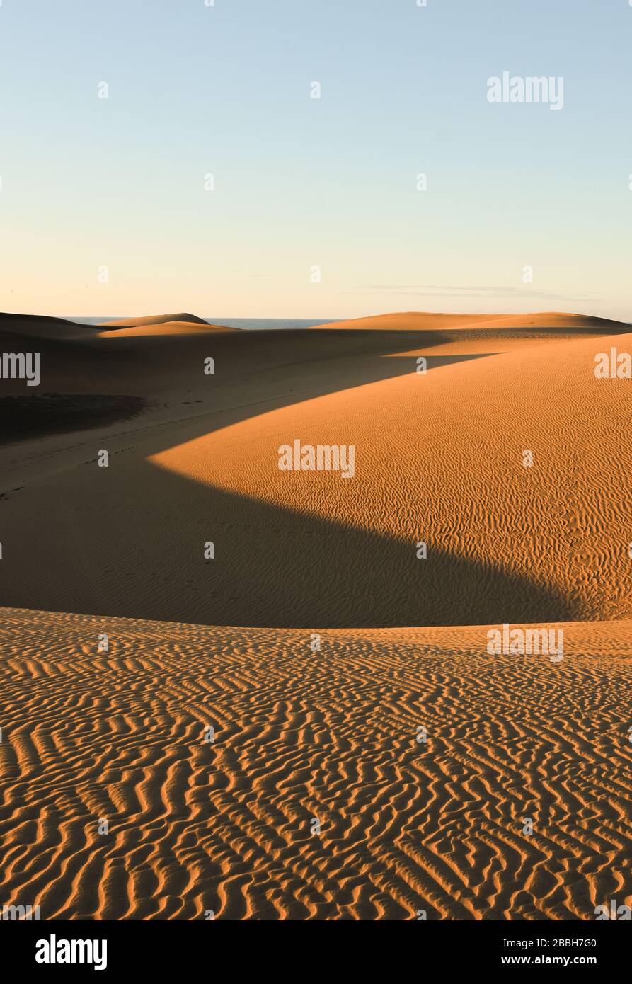 Lever du soleil dans les dunes Banque D'Images