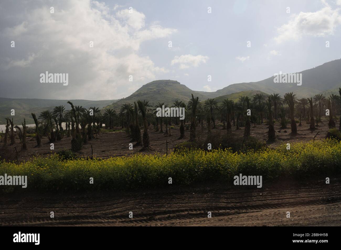 Belle vue sur la colline Banque D'Images