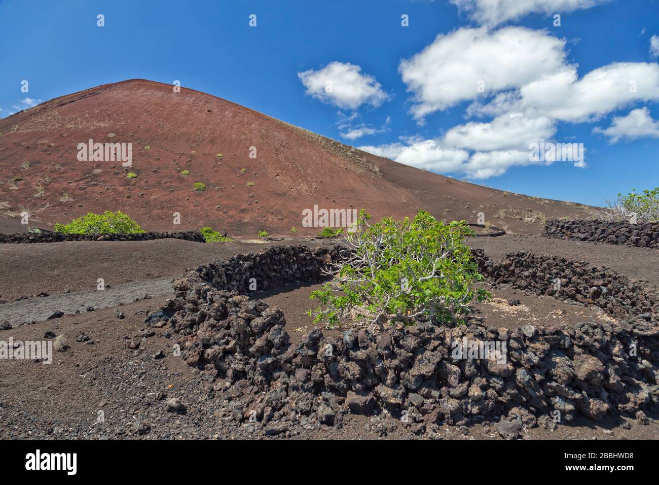 Paysage volcanique de l'île de Lanzarote. Champs de lave.Le Parc National de Timanfaya. Canaries.Espagne. Banque D'Images