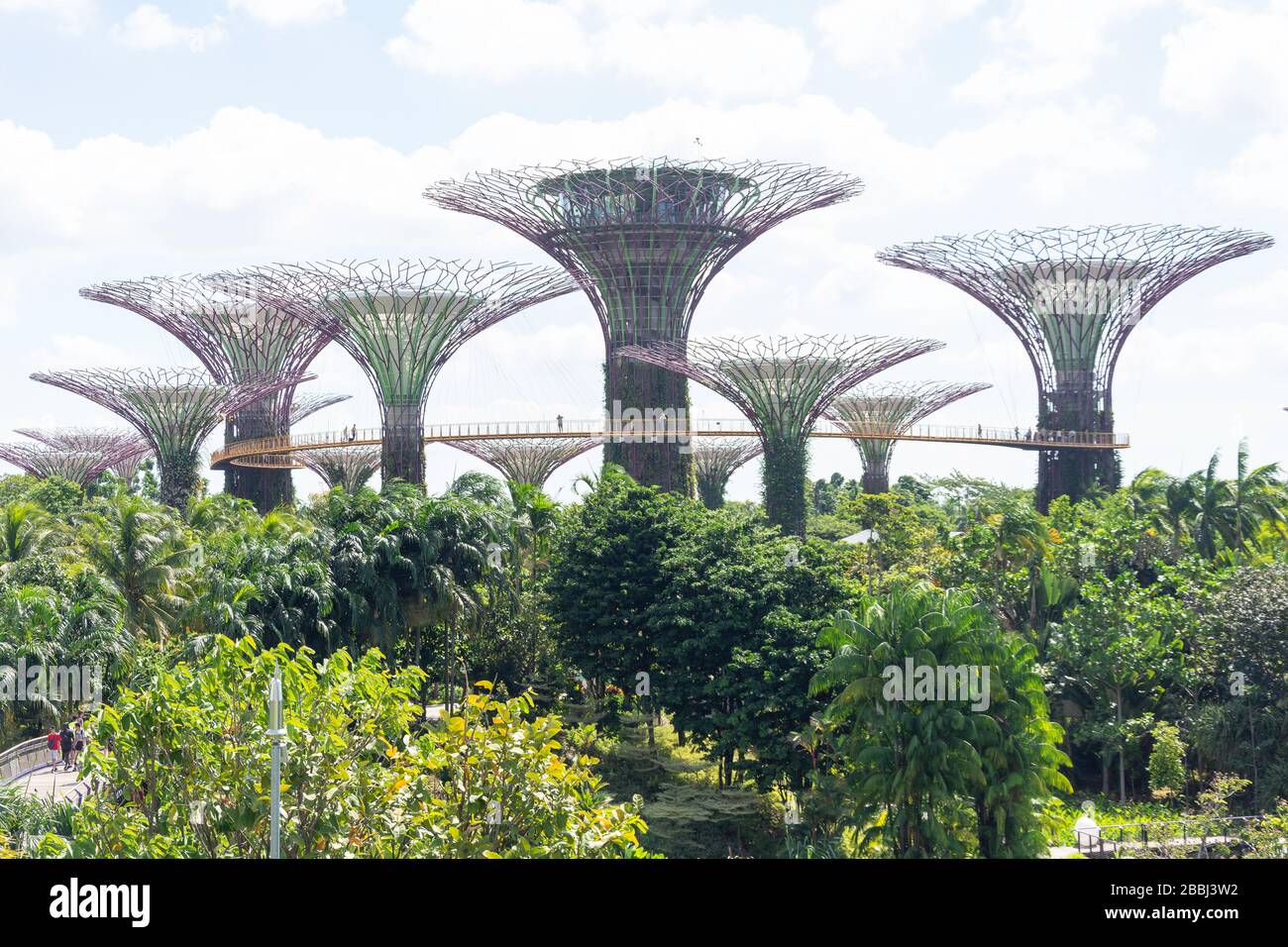 Supertree Grove et Skyway, Gardens by the Bay, Downtown Core, Marina South, Singapour Banque D'Images