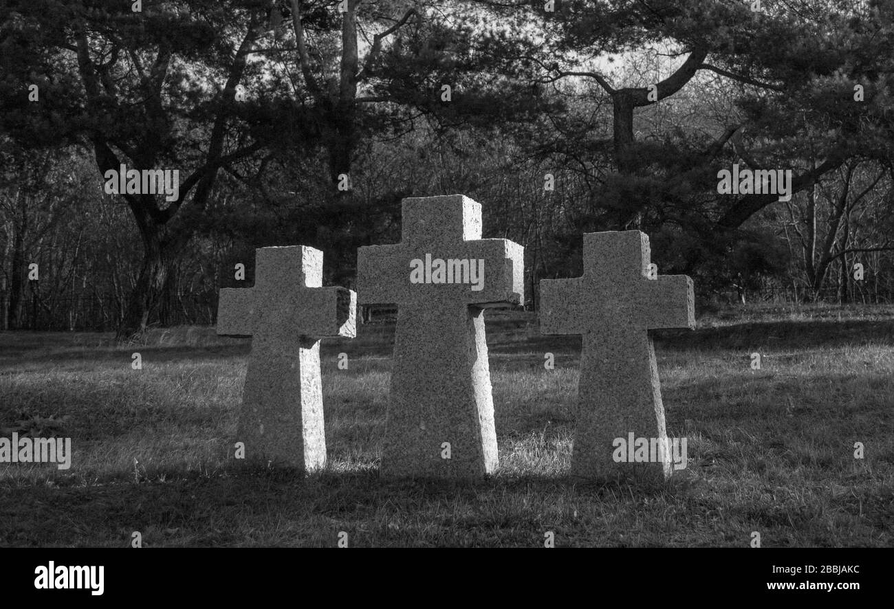 Trois croix de pierre au cimetière commémoratif de la seconde Guerre mondiale des soldats allemands de Wehrmacht à Baltiysk, région de Kaliningrad Banque D'Images