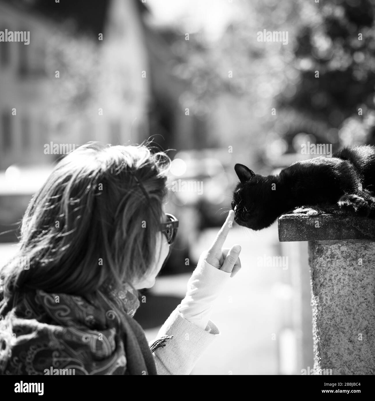 Image En Noir Et Blanc De La Jeune Femme Francaise En Interaction Avec Un Beau Chat Noir Elegant Reposant Sur Une Pierre Temps Ensoleille Main Sur Le Nez Humide Photo Stock