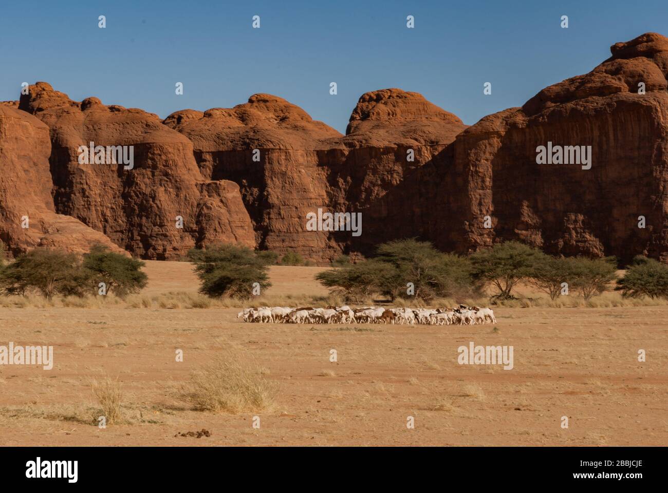 Formations rocheuses naturelles, Tchad, Afrique Banque D'Images
