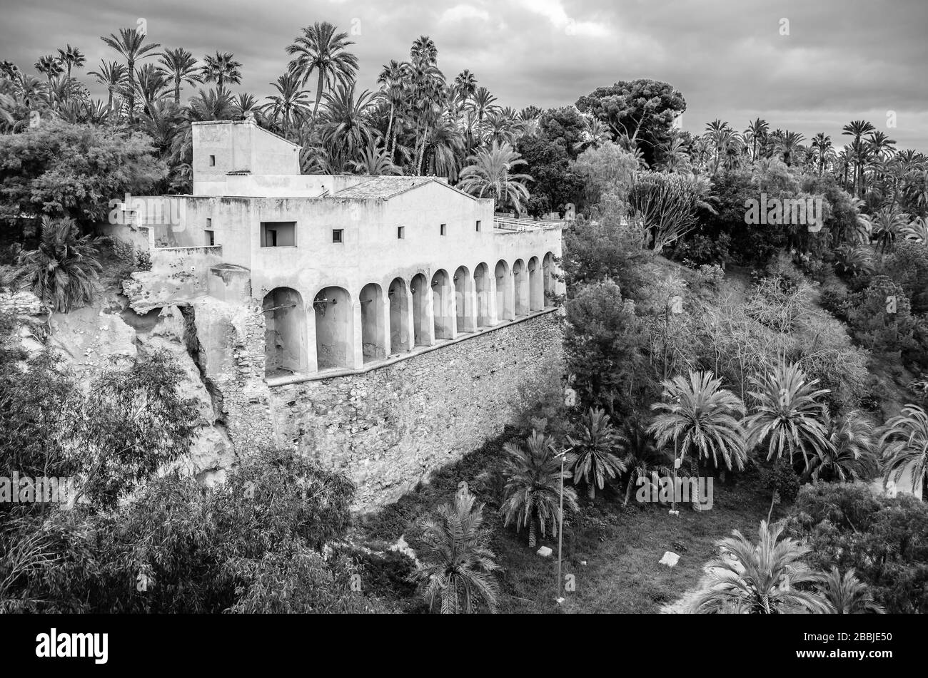 Vue sur la ville d'Elche, province d'Alicante, Espagne, montrant la palmeraie; image en noir et blanc Banque D'Images