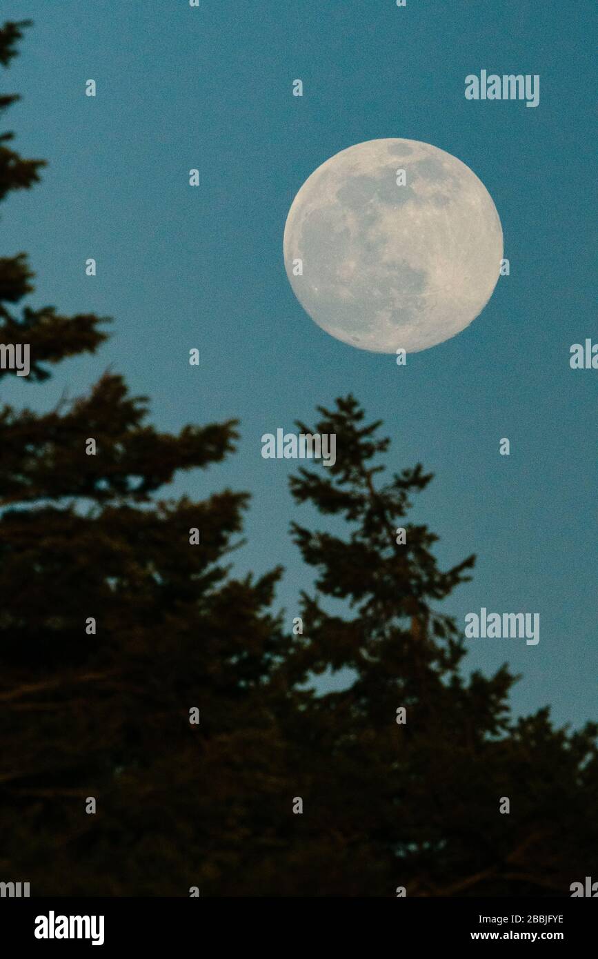 Une pleine lune se levant contre un ciel bleu au coucher du soleil Banque D'Images
