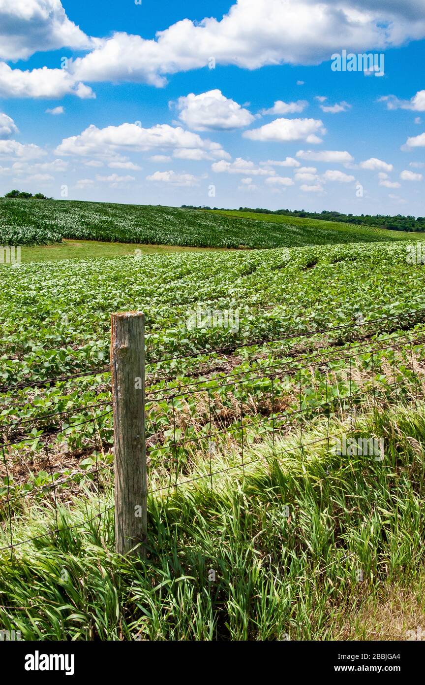 Clôture avec champs de ferme Midwest Banque D'Images
