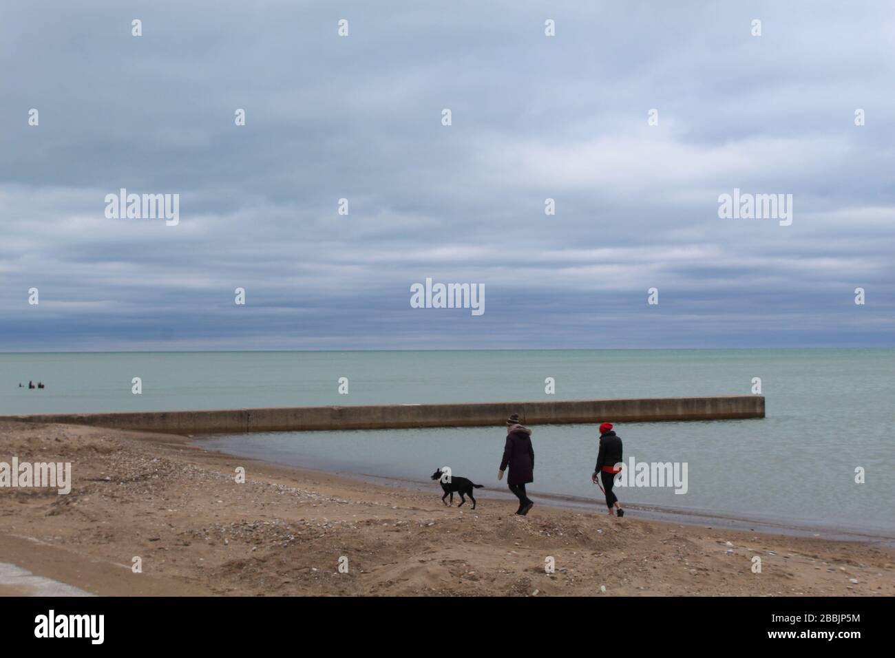 Deux femmes marchant un chien sur la plage avec un lac verdâtre Michigan en arrière-plan à Loyola Park à Chicago Banque D'Images