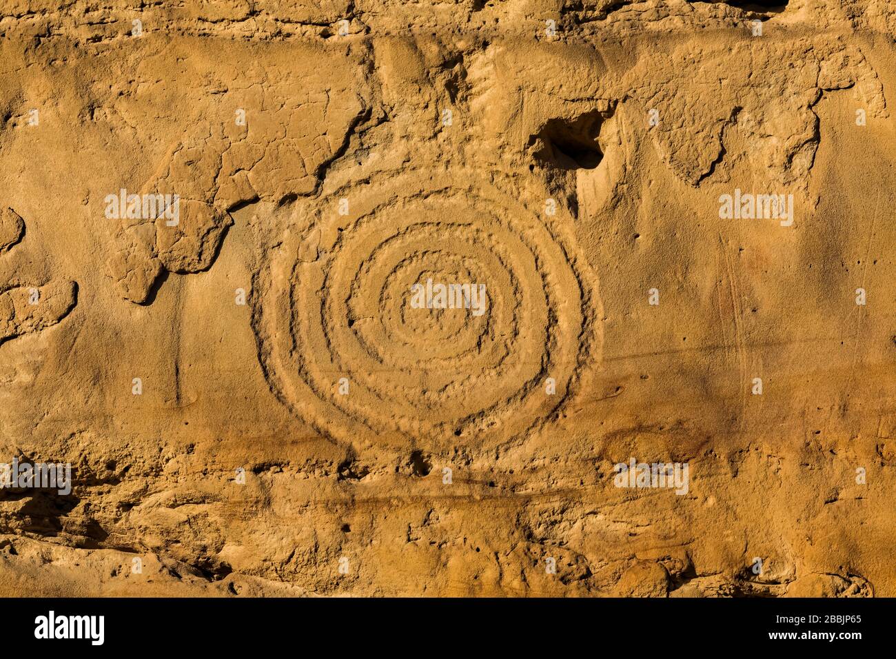 Spiral Petroglyph sculpté par les peuples ancestraux de Pueblo, le long de la piste Petroglyph dans le parc historique national de la culture de Chaco, Nouveau-Mexique, États-Unis Banque D'Images