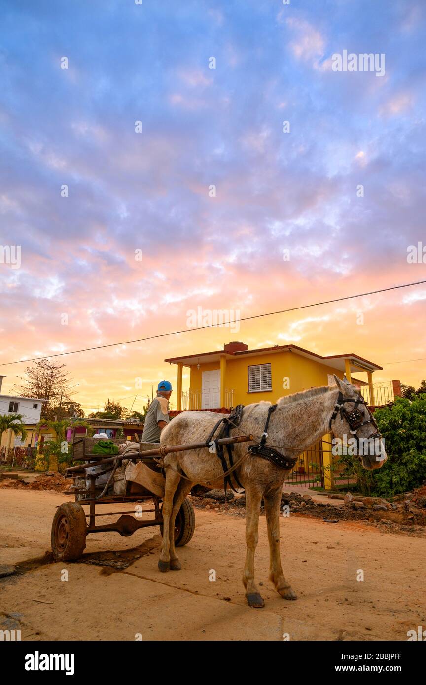 Chariot à cheval au lever du soleil, Vinales, Pinar del Rio Province, Cuba Banque D'Images