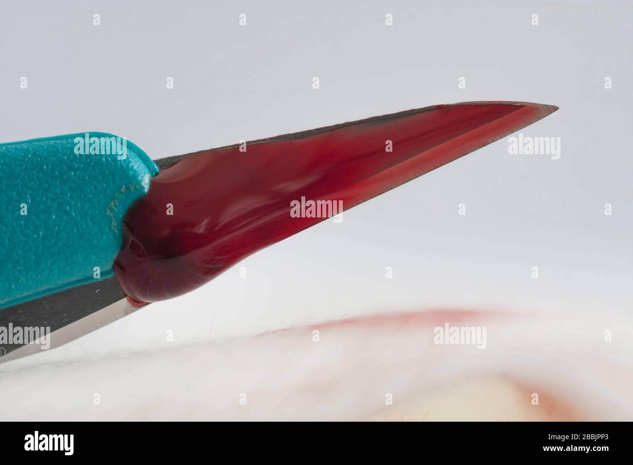 Gros plan du scalpel médical sur fond blanc. Le scalpel est utilisé