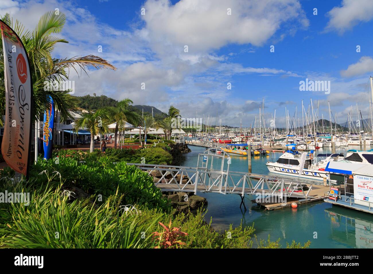 Abell Point Marina, Airlie Beach, Queensland, Australie Banque D'Images