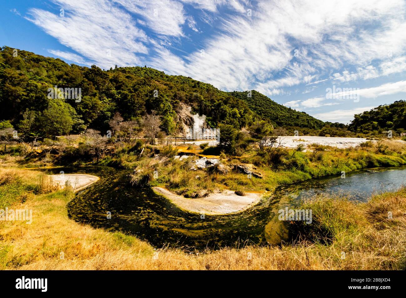 La vallée vulcanique dans le rotorua2 Banque D'Images